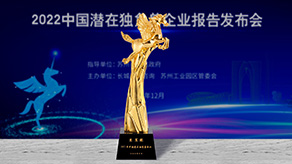 長(zhǎng)城戰(zhàn)略咨詢(xún)&華云數(shù)據(jù)·中國(guó)潛在獨(dú)角獸企業(yè)