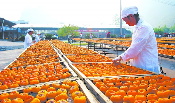 2017年農(nóng)產(chǎn)品加工財稅扶持政策大操盤，您享受到了嗎？